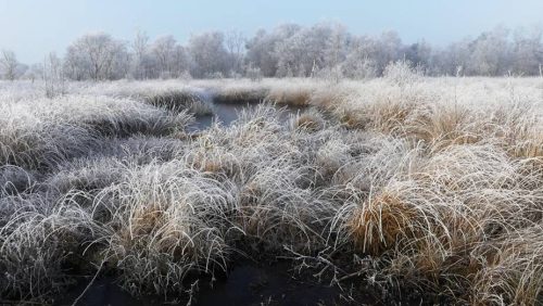 Activiteitenprogramma-Buitencentrum-De-Pelen-januari-2018