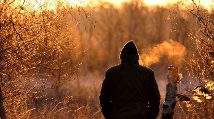 Foto | © Marijke Vaes-Schroën | Staatsbosbeheer