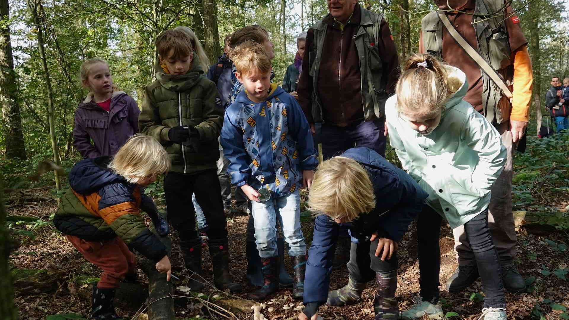 Activiteitenprogramma oktober De Pelen