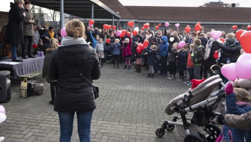 Afscheid-Chantal-Leveau-Verloskundigen-Midden-Limburg1