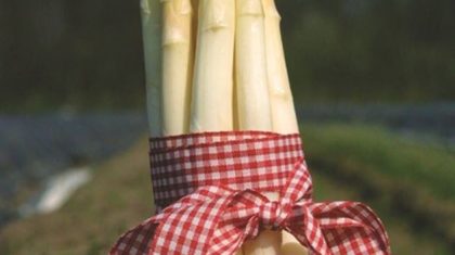 Asperges