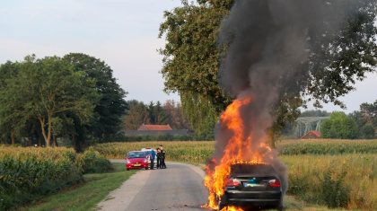 Autobrand-Leveroy-1