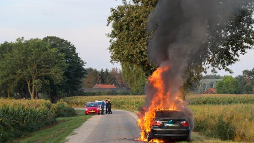 Autobrand-Leveroy-1