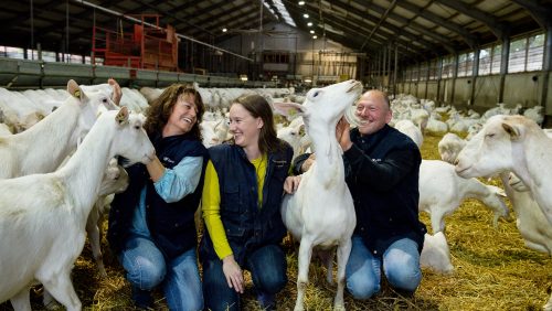 Bennie-Aarts-Boeren-van-Nederweert