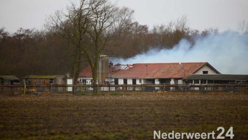 Aan de Roeventerpeelweg in Weert is zojuist een boerderijbrand geconstateerd. De brandweer is met meerdere voertuigen uitgerukt om de uitslaande brand te blussen.