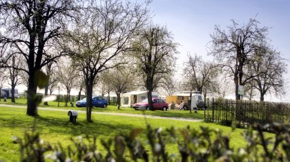 Boerderijcamping