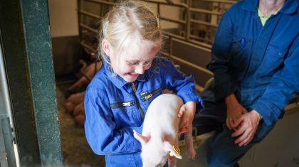 Boeren-van-Nederweert-Dag-sept-2023-Beerens-4