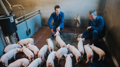 Boeren-van-Nederweert-De-Witte-Hoeve