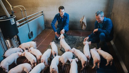 Boeren-van-Nederweert-De-Witte-Hoeve