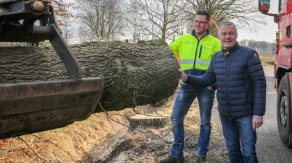 Bomenkap-Leveroysedijk-Eynderhoof-gemeente-Nederweert-10