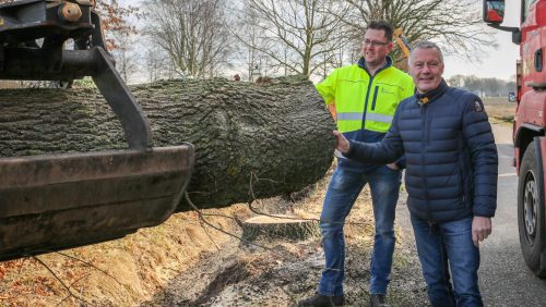 Bomenkap-Leveroysedijk-Eynderhoof-gemeente-Nederweert-10