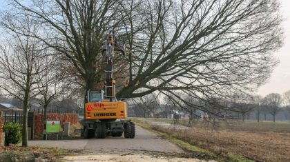 Bomenkap-Leveroysedijk-Eynderhoof-gemeente-Nederweert-8