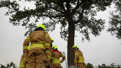 Boom-dreigt-om-te-vallen-Nederweert-3