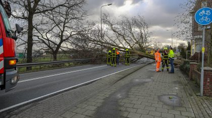 Boom-op-Rijksweg-Zuid-N266-Nederweert-storm-1