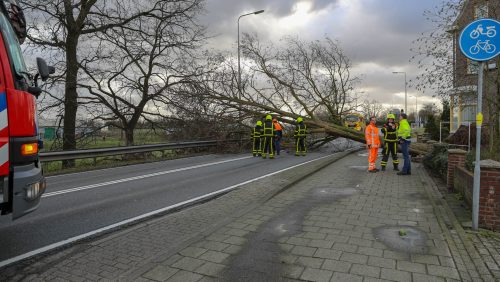 Boom-op-Rijksweg-Zuid-N266-Nederweert-storm-1