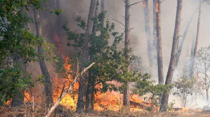 Bosbrand-Beversdijk-Weert-2