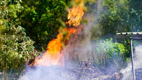 Bosbrand-Weert-1e-Schoorbaan-Galgenbergweg-14