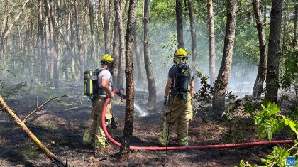 Bosbrand-Weerter-en-Budelerbergen-7