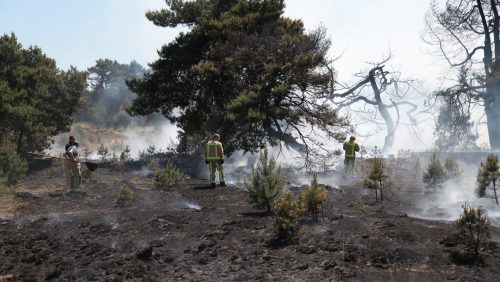 Brand-Geuzendijk-25-5-17-02