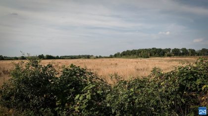 Brand-Moosdijk-blijkt-loos-alarm-1