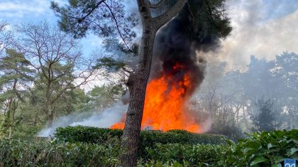 Brand-Stille-WiIle-Meijel-1-kopie