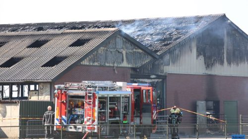 Brand-veebedrijf-Landbouwstraat-Someren-1