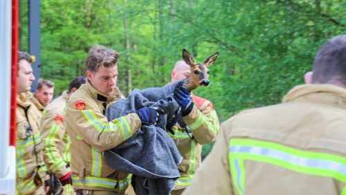 Brandweer-red-ree-Kanaaldijk-Zuid-6