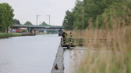 Brandweer-redt-Ree-uit-Zuid-Willemsvaart-Weert-6400