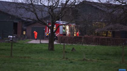 Brandweer-redt-koe-uit-mestput