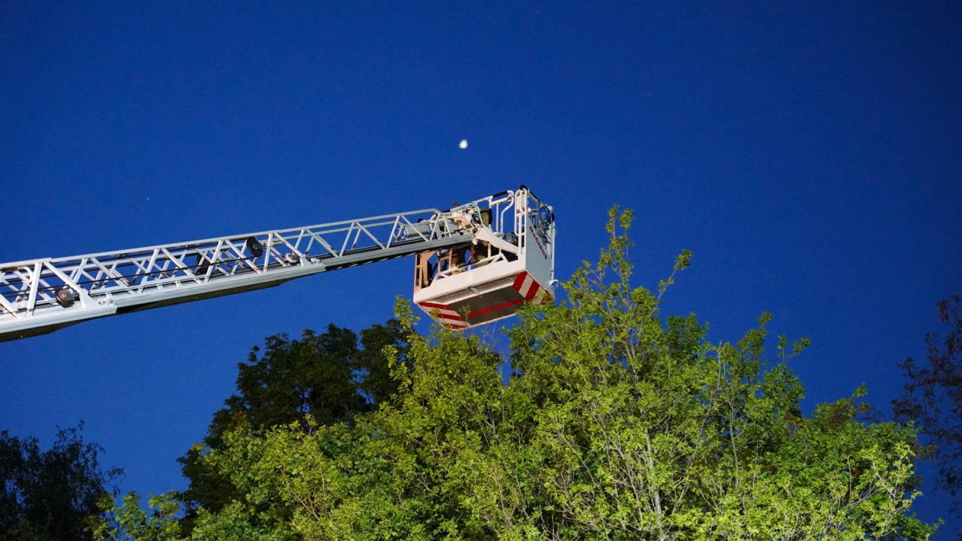 Brandweer-redt-vrouw-uit-boom-langs-Kanaalweg-4