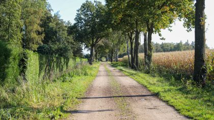 Buitengebied-oververharde-weg-Nederweert-1