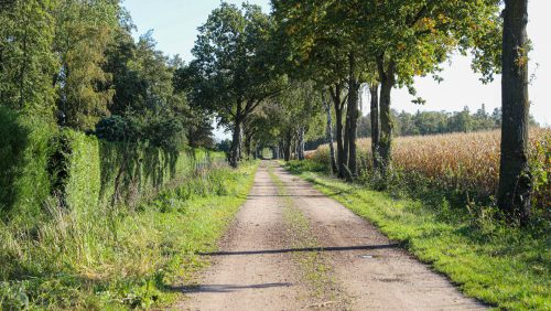 Buitengebied-oververharde-weg-Nederweert-1