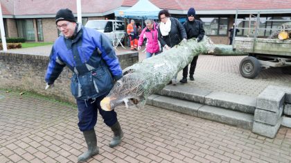 Buurtkerstbomen-Nederweert-10