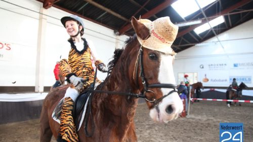 Ponnyspellendag Manege De Kraal Budschop