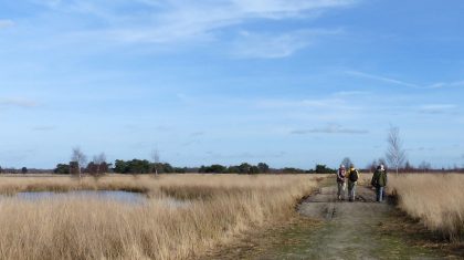 Dagwandeling-De-Groote-Peel