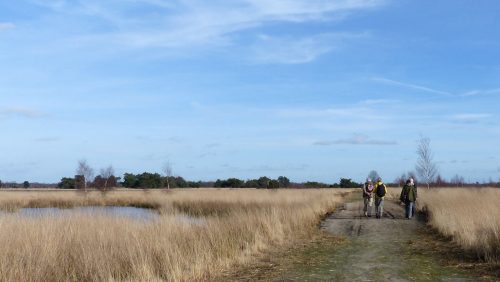 Dagwandeling-De-Groote-Peel