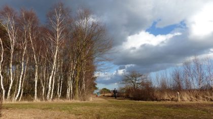 Dagwandeling-in-De-Groote-Peel