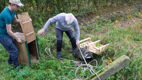 Das-gered-uit-waterput-Nederweert-4