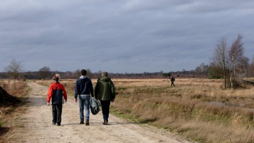 De-Groote-Peel-Marijke-Vaes-SchroenStaatsbosbeheer