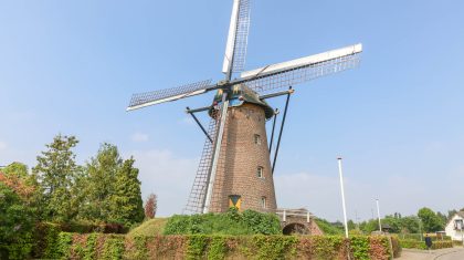 De-Korenbloem-Windmolen-1