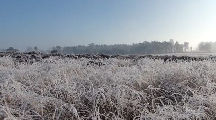 De-Peel-in-de-winter-Hans-Melters