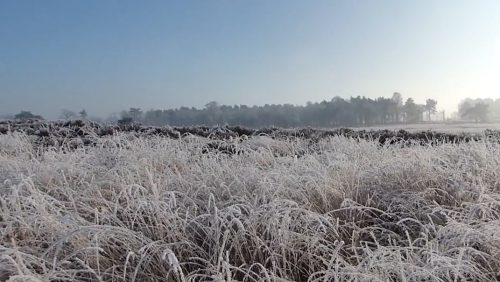 De-Peel-in-de-winter-Hans-Melters