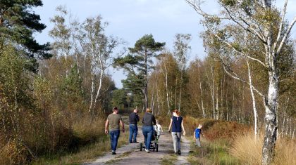 De-pelen-foto-staatsbosbeheer-Mirjam-wouters