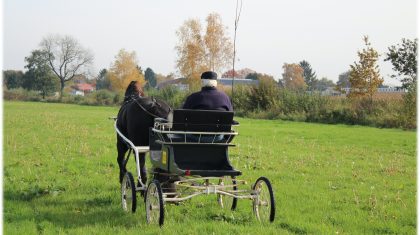 Dhr-Martien-van-den-Boom