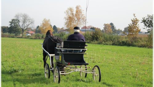 Dhr-Martien-van-den-Boom