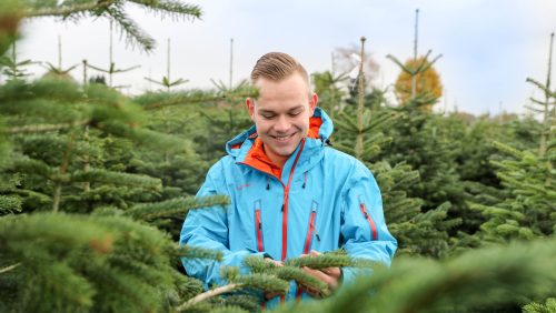 Dirk-gaat-Kerstbomen-verkopen-in-Nederweert-3