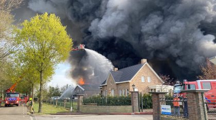 Enorme-brand-in-drie-kippenstallen-Heythuysen-8