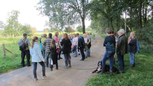 Erfgoedwandeling-rond-het-Vosseven-en-de-Stramproyerheide