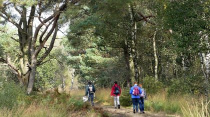 Excursie-t-Elfde-©-Marijke-Vaes-Schroen-Staatsbosbeheer