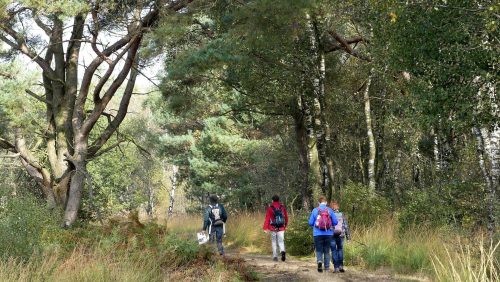 Excursie-t-Elfde-©-Marijke-Vaes-Schroen-Staatsbosbeheer